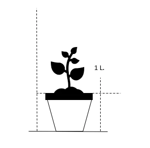 Grøn Mynte Mentha Spicata 1 Liter Potte - Billede 2